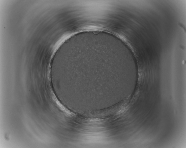 X0000102811421200808181213