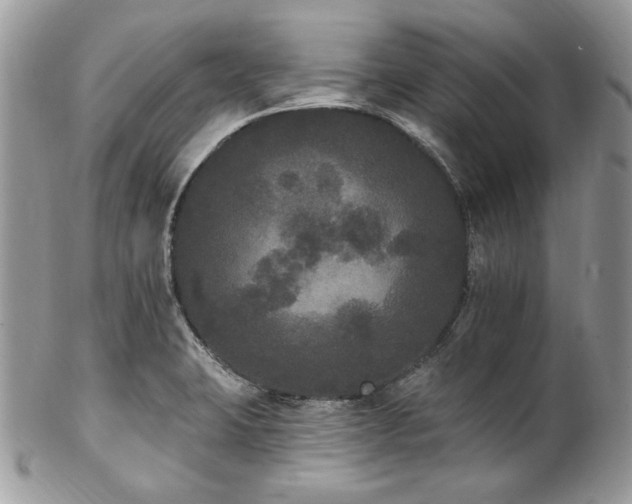 X0000102811423200808181213