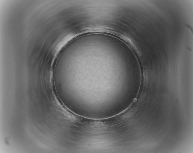 X0000102811424200808181213