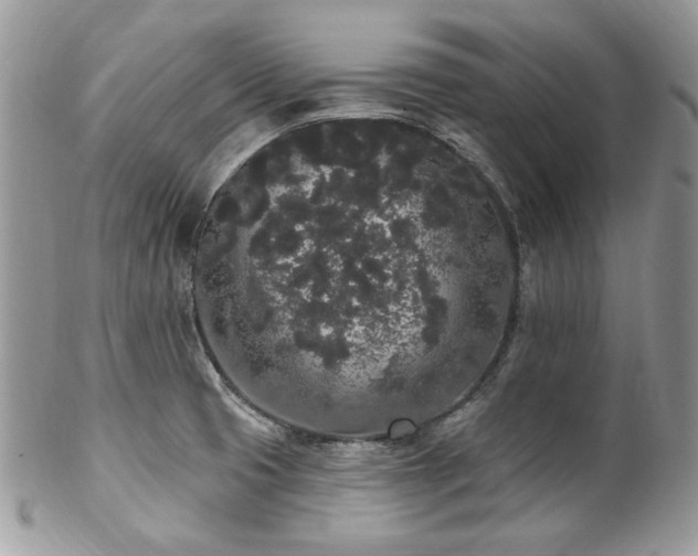 X0000102811425200808181213