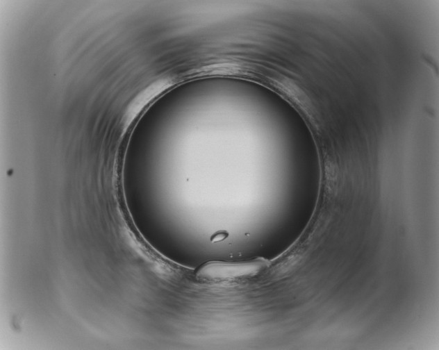 X0000102811426200808181213