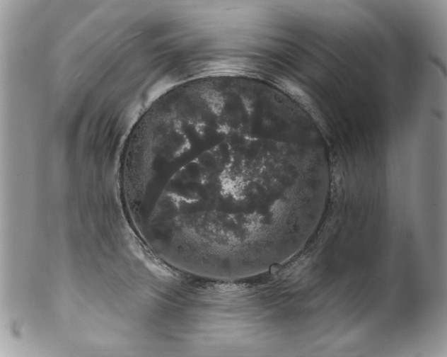 X0000102811427200808181213