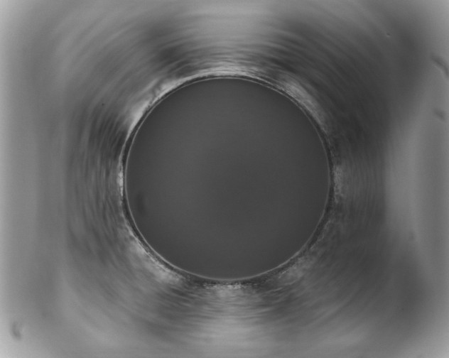 X0000102811428200808181213