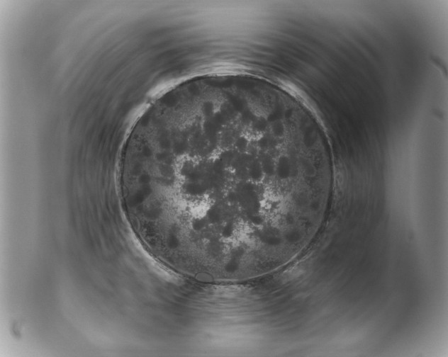 X0000102811429200808181213