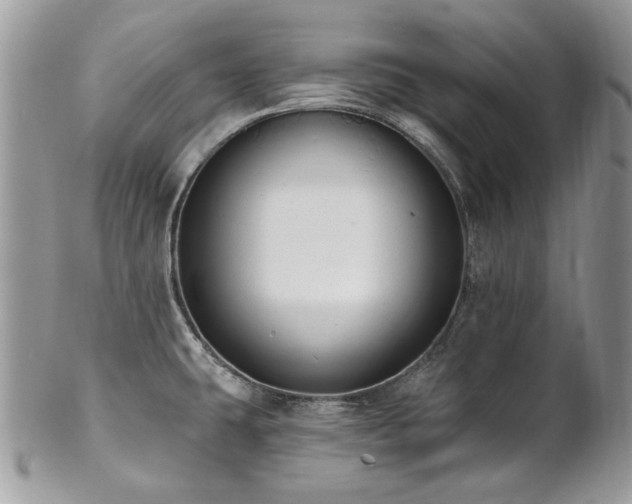 X0000102811431200808181213