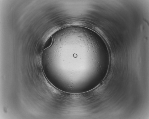 X0000102811433200808181213