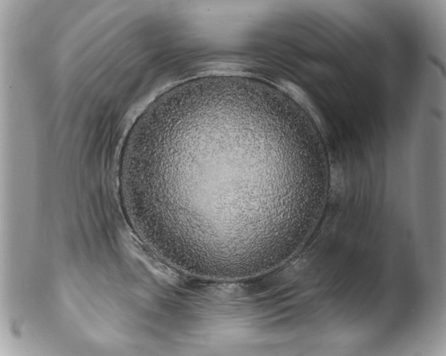 X0000102811435200808181213