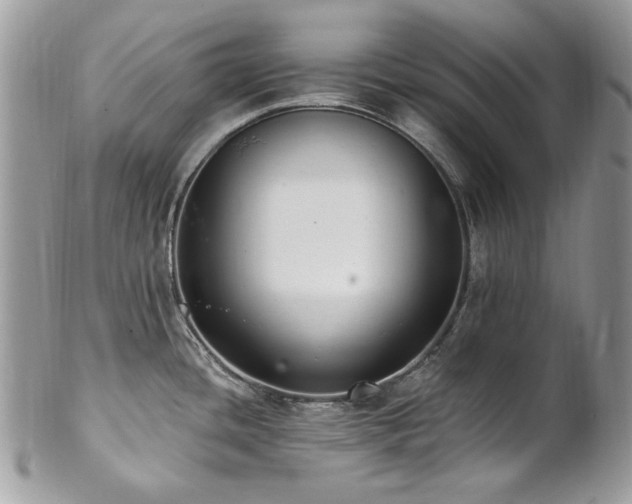 X0000102811436200808181213