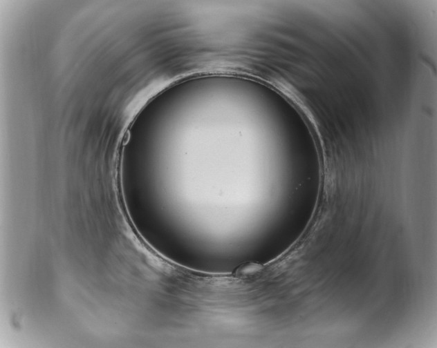 X0000102811437200808181213