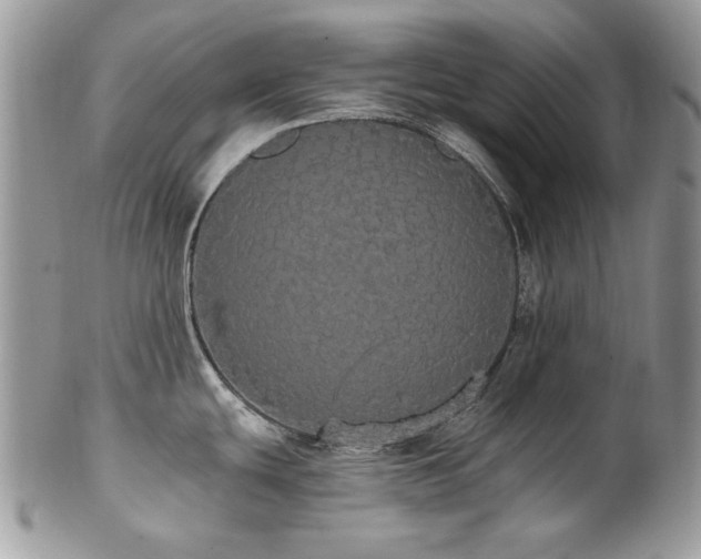 X0000102811439200808181213