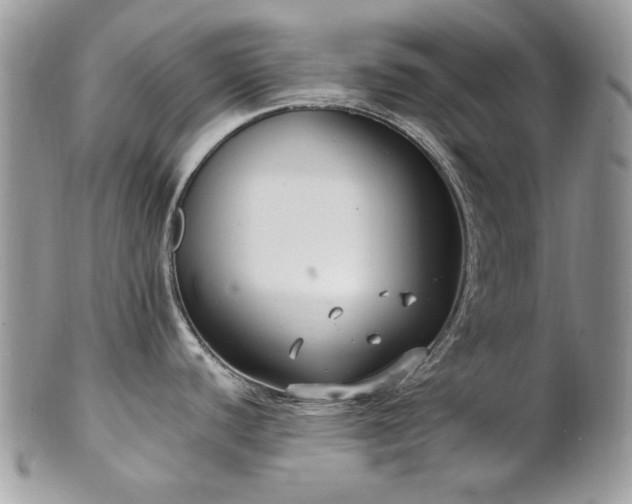 X0000102811440200808181213