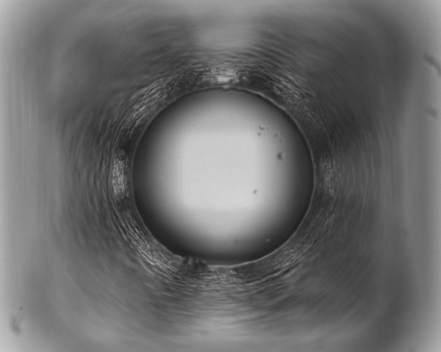 X0000102811442200808181212