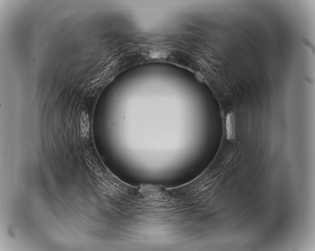 X0000102811443200808181212