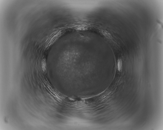 X0000102811444200808181212