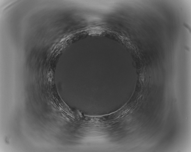 X0000102811445200808181212