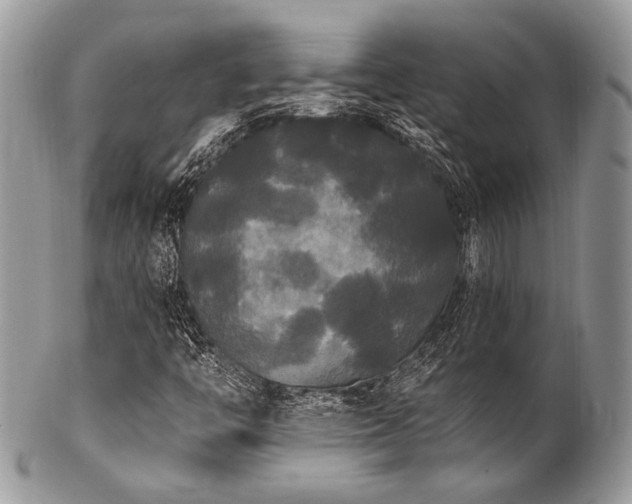 X0000102811446200808181212