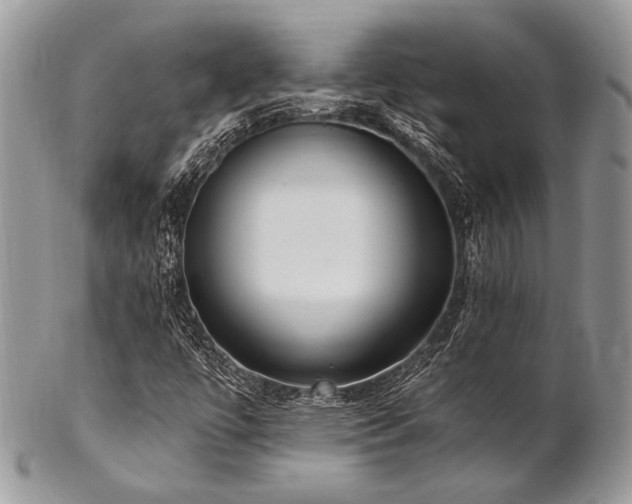 X0000102811447200808181212