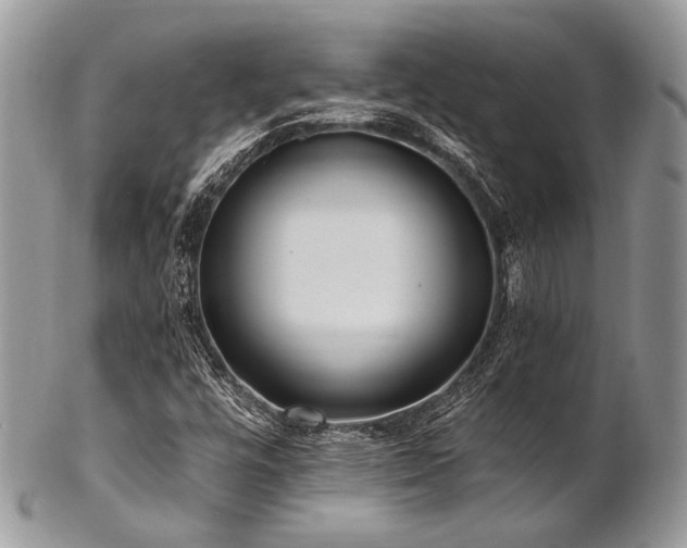 X0000102811448200808181212