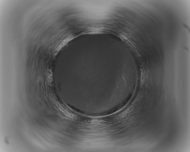 X0000102811449200808181212