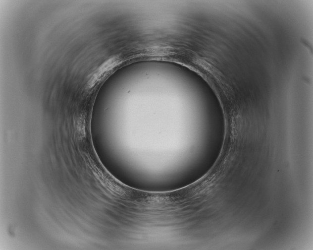 X0000102811451200808181212