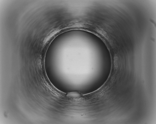 X0000102811452200808181212