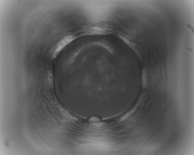 X0000102811453200808181212