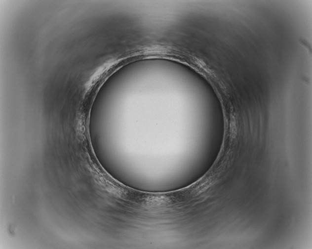 X0000102811454200808181212