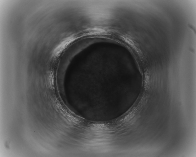 X0000102811455200808181212