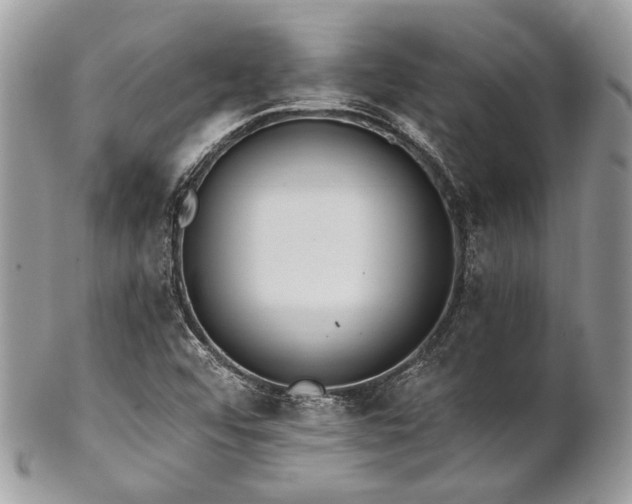 X0000102811456200808181212