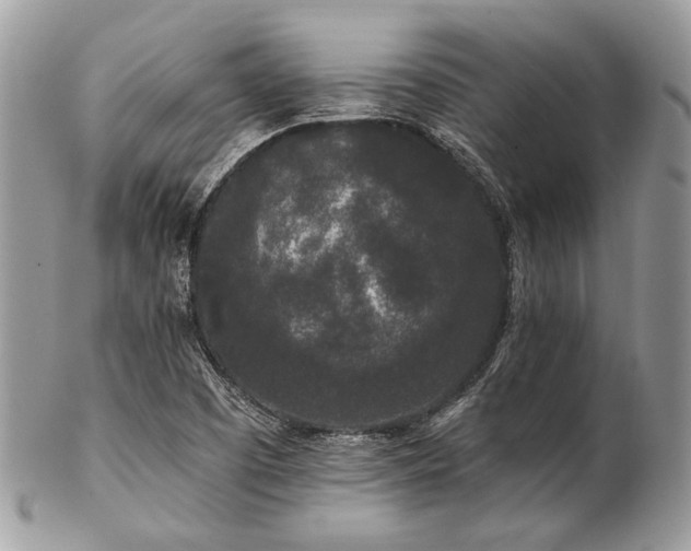 X0000102811457200808181212