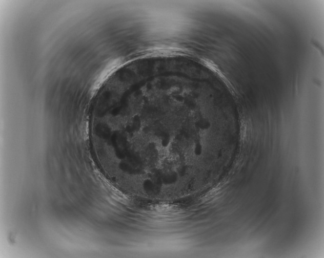 X0000102811459200808181212