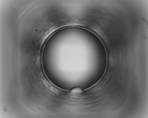 X0000102811460200808181212