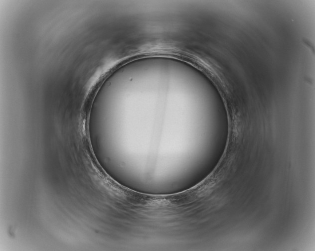 X0000102811462200808181212