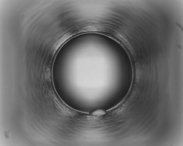 X0000102811465200808181212