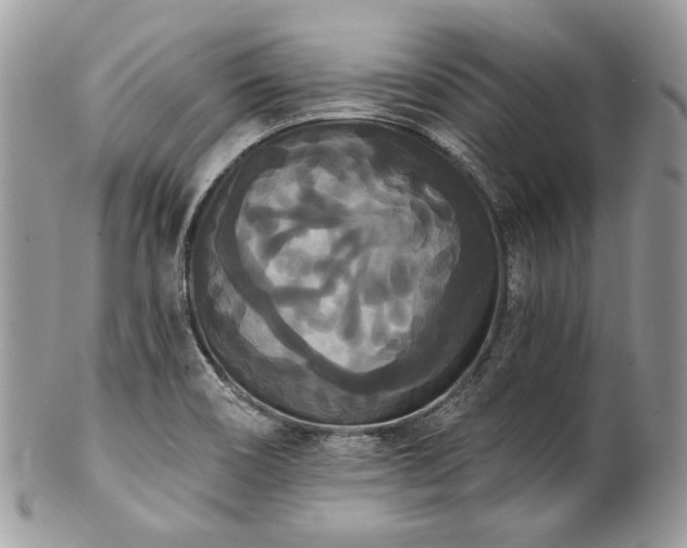 X0000102811466200808181212