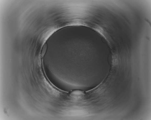 X0000102811468200808181212