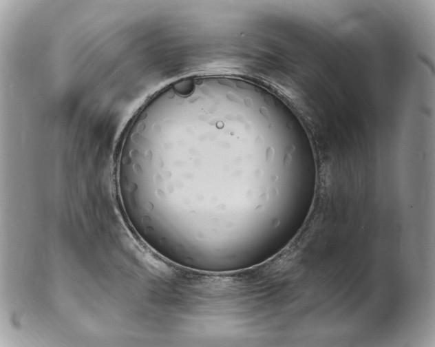 X0000102811470200808181212