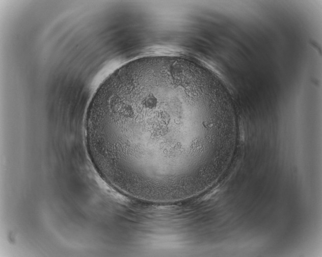 X0000102811471200808181212