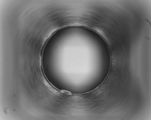 X0000102811476200808181212