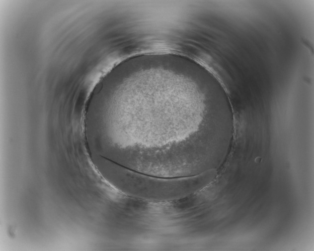 X0000102811477200808181212