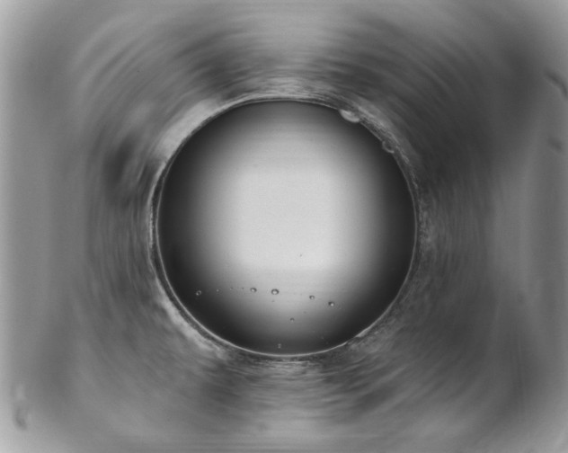 X0000102811479200808181212