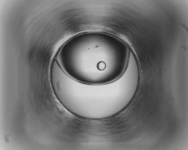 X0000102811480200808181212