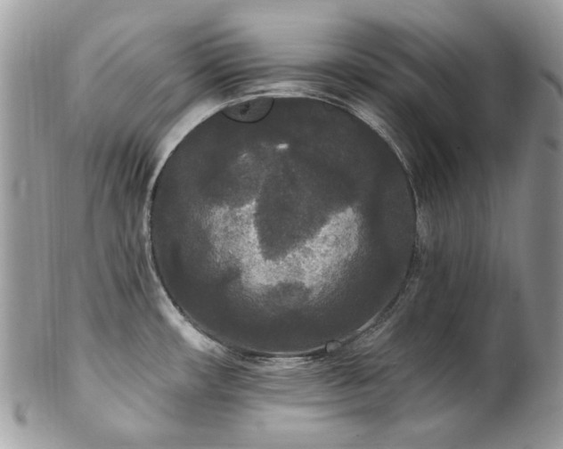 X0000102811482200808181212