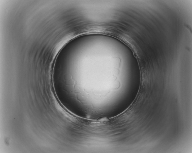 X0000102811483200808181212