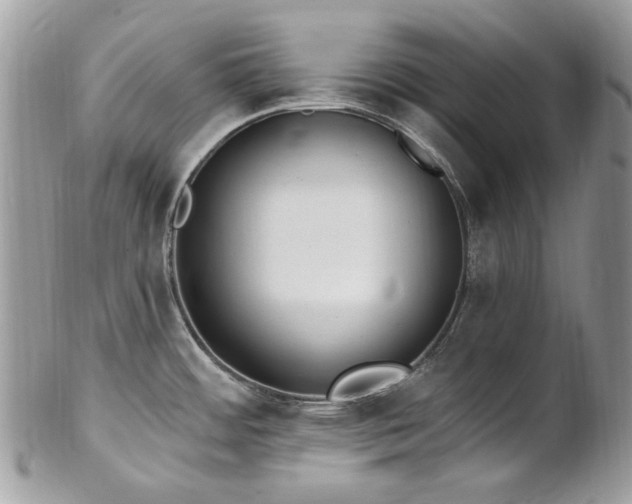 X0000102811484200808181212