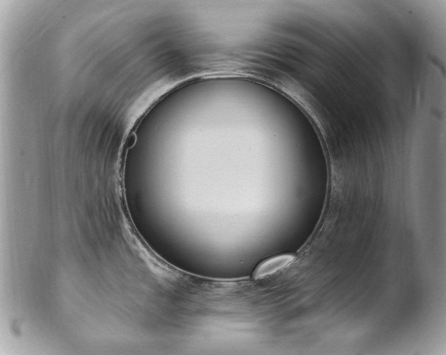 X0000102811485200808181212