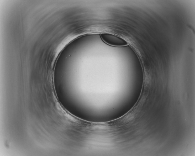 X0000102811486200808181212