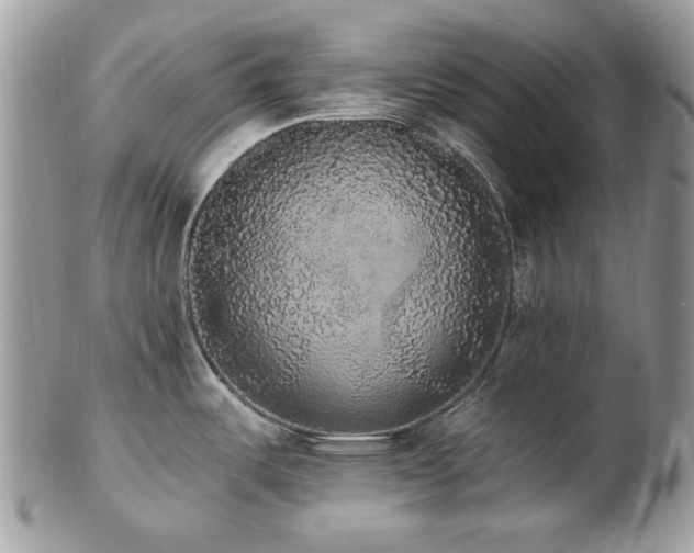 X0000102811487200808181212