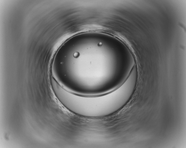 X0000102811488200808181212