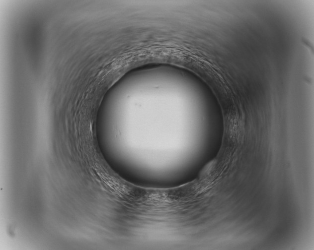 X0000102811489200808181211